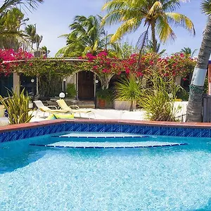 House Aruba Apartamento