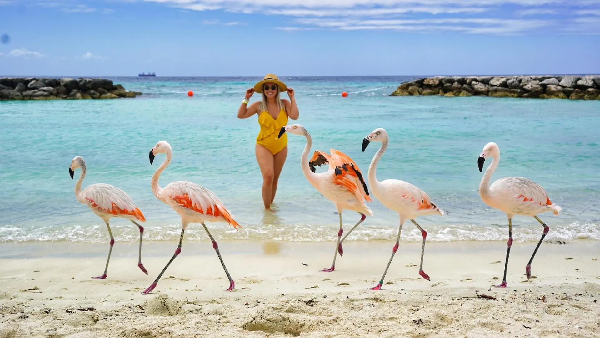 Vila Opal 118 Palm Beach Prázdninový dům